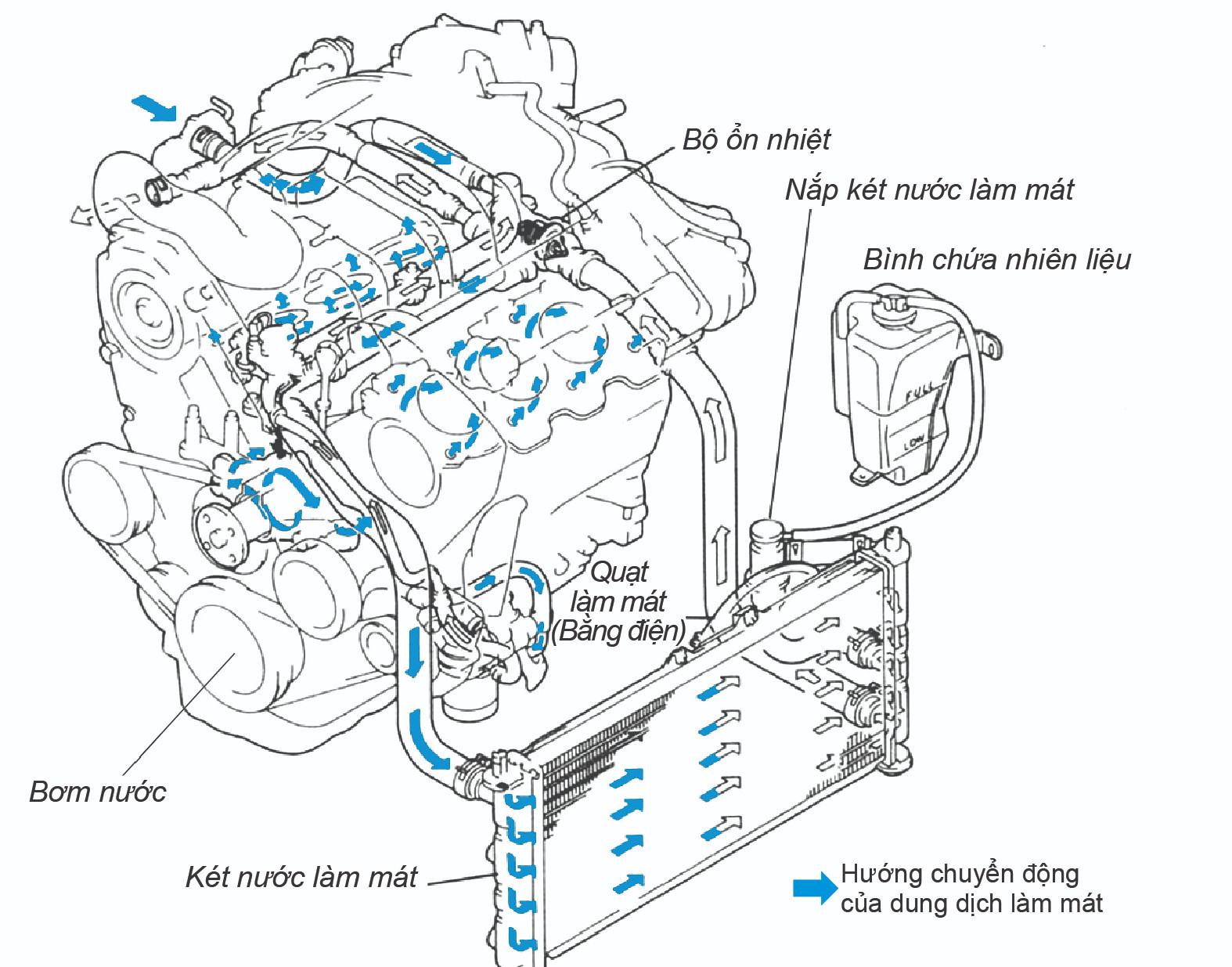 nước làm mát động cơ xanh Denso chính hãng cho ô tô và xe máy